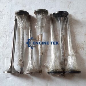 Daihatsu DL22 Intake valve (E-225750020A)